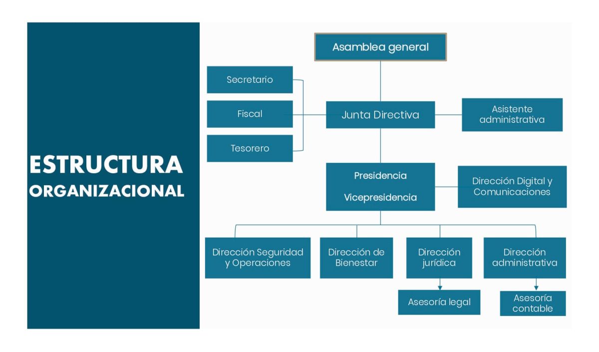 Organigrama de ADPA